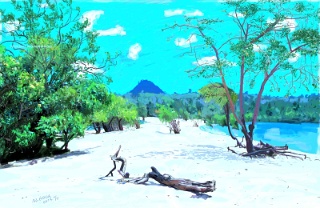 Alter do chão (Amazon River)  2017   Handmade digital painting on canvas 200 x 130 cm (175 megapixel)