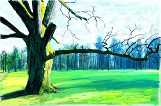 Tree IV 2016   Handmade digital painting on canvas 150 x 100 cm (180 megapixel)